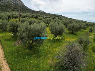 Αγροτεμάχια 5.500 τ.μ. για πώληση, Αργολίδα, Μυκήνες-thumb-9