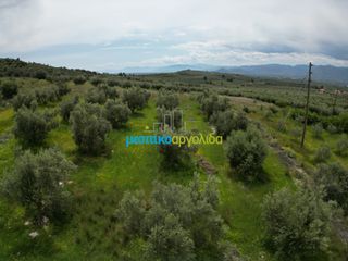 Αγροτεμάχια 5.500 τ.μ. για πώληση, Αργολίδα, Μυκήνες-thumb-14
