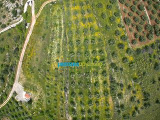 Αγροτεμάχια 5.500 τ.μ. για πώληση, Αργολίδα, Μυκήνες-thumb-5