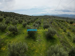 Αγροτεμάχια 5.500 τ.μ. για πώληση, Αργολίδα, Μυκήνες-thumb-11