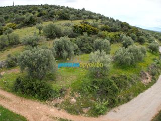 Αγροτεμάχια 5.500 τ.μ. για πώληση, Αργολίδα, Μυκήνες-thumb-18