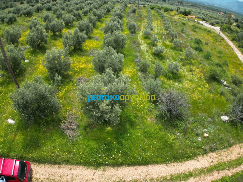 Αγροτεμάχια 5.500 τ.μ. για πώληση, Αργολίδα, Μυκήνες