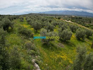 Αγροτεμάχια 5.500 τ.μ. για πώληση, Αργολίδα, Μυκήνες-thumb-17