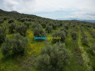 Αγροτεμάχια 5.500 τ.μ. για πώληση, Αργολίδα, Μυκήνες-thumb-10