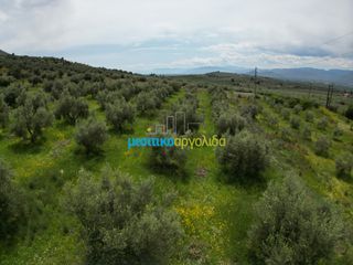 Αγροτεμάχια 5.500 τ.μ. για πώληση, Αργολίδα, Μυκήνες-thumb-12