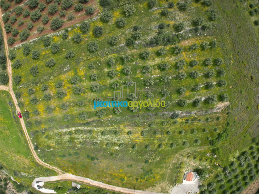 Αγροτεμάχια 5.500 τ.μ. προς πώληση, Μυκήνες