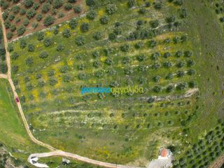 Αγροτεμάχια 5.500 τ.μ. για πώληση, Αργολίδα, Μυκήνες-thumb-4