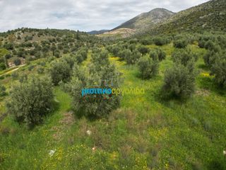 Αγροτεμάχια 5.500 τ.μ. για πώληση, Αργολίδα, Μυκήνες-thumb-15