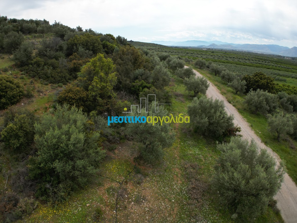 Αγροτεμάχια 11.600 τ.μ. πρός πώληση, Αργολίδα, Μυκήνες