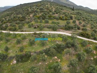 Αγροτεμάχια 11.600 τ.μ. για πώληση, Αργολίδα, Μυκήνες-thumb-22