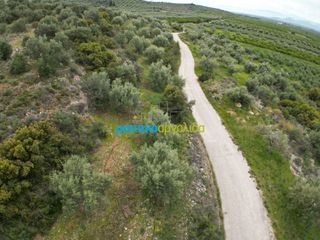 Αγροτεμάχια 11.600 τ.μ. για πώληση, Αργολίδα, Μυκήνες-thumb-4