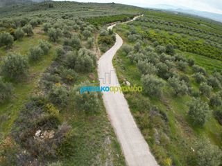 Αγροτεμάχια 11.600 τ.μ. για πώληση, Αργολίδα, Μυκήνες-thumb-8