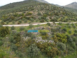 Αγροτεμάχια 11.600 τ.μ. για πώληση, Αργολίδα, Μυκήνες-thumb-19