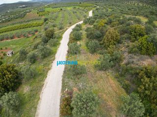 Αγροτεμάχια 11.600 τ.μ. για πώληση, Αργολίδα, Μυκήνες-thumb-14