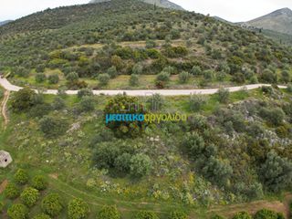 Αγροτεμάχια 11.600 τ.μ. για πώληση, Αργολίδα, Μυκήνες-thumb-17