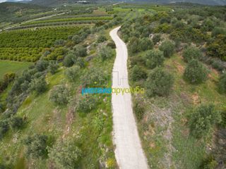 Αγροτεμάχια 11.600 τ.μ. για πώληση, Αργολίδα, Μυκήνες-thumb-11