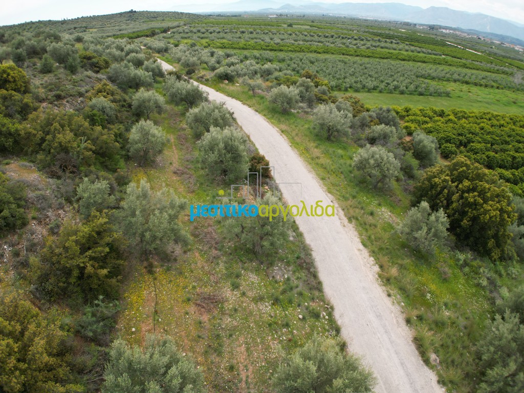 Αγροτεμάχια 11.600 τ.μ. πρός πώληση, Αργολίδα, Μυκήνες