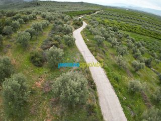 Αγροτεμάχια 11.600 τ.μ. για πώληση, Αργολίδα, Μυκήνες-thumb-7