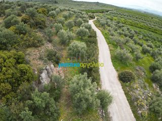 Αγροτεμάχια 11.600 τ.μ. για πώληση, Αργολίδα, Μυκήνες-thumb-5