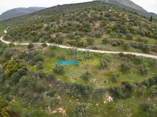 Αγροτεμάχια 11.600 τ.μ. για πώληση, Αργολίδα, Μυκήνες-thumb-21