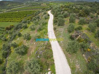 Αγροτεμάχια 11.600 τ.μ. για πώληση, Αργολίδα, Μυκήνες-thumb-10