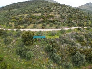Αγροτεμάχια 11.600 τ.μ. για πώληση, Αργολίδα, Μυκήνες-thumb-18