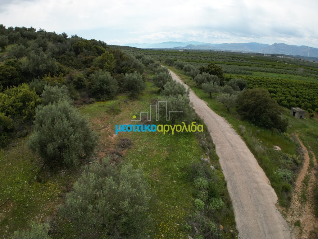 Αγροτεμάχια 11.600 τ.μ. για πώληση, Αργολίδα, Μυκήνες