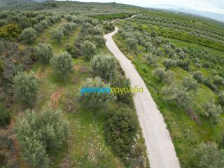 Αγροτεμάχια 11.600 τ.μ. για πώληση, Αργολίδα, Μυκήνες-thumb-6