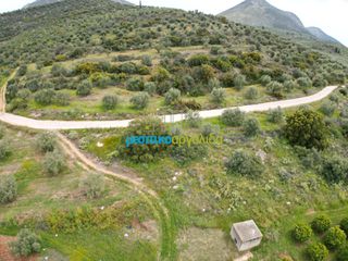 Αγροτεμάχια 11.600 τ.μ. για πώληση, Αργολίδα, Μυκήνες-thumb-15