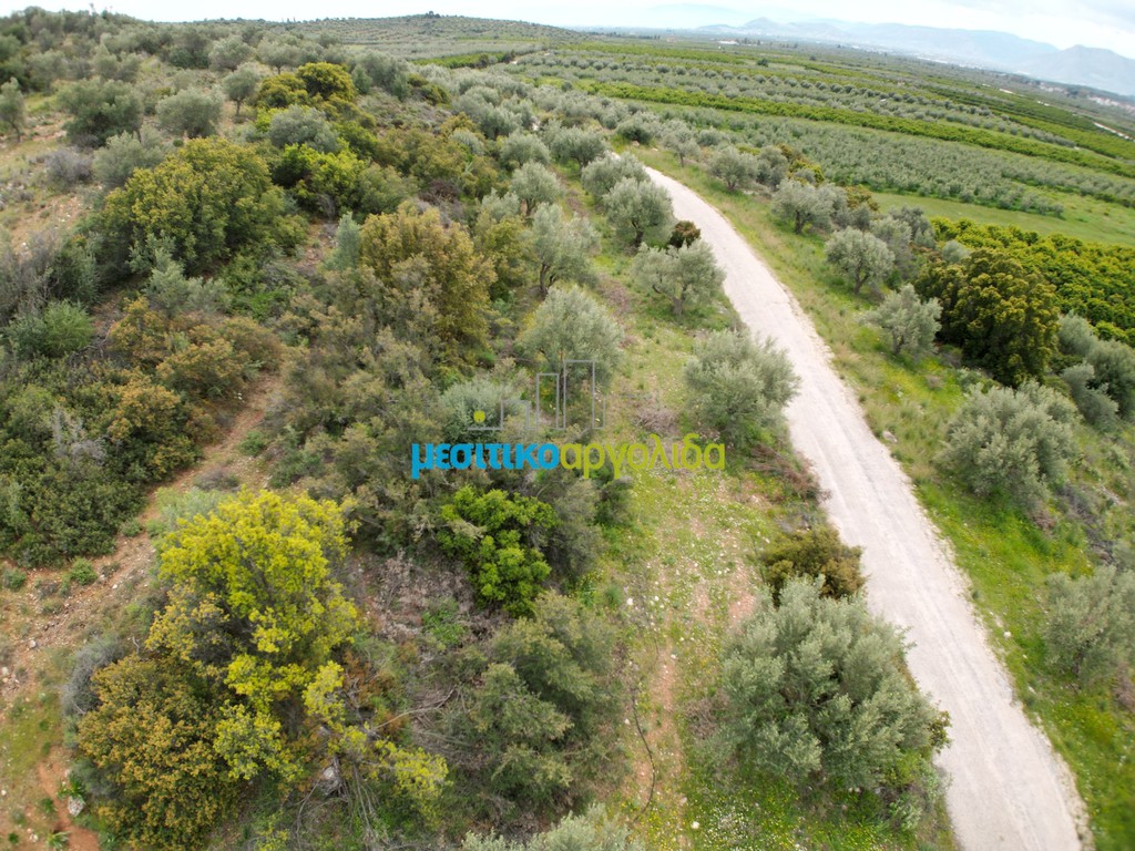 Αγροτεμάχια 11.600 τ.μ. πρός πώληση, Αργολίδα, Μυκήνες