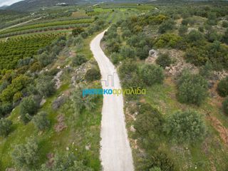Αγροτεμάχια 11.600 τ.μ. για πώληση, Αργολίδα, Μυκήνες-thumb-12