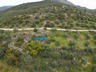 Αγροτεμάχια 11.600 τ.μ. για πώληση, Αργολίδα, Μυκήνες-thumb-20