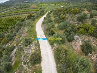 Αγροτεμάχια 11.600 τ.μ. για πώληση, Αργολίδα, Μυκήνες-thumb-13