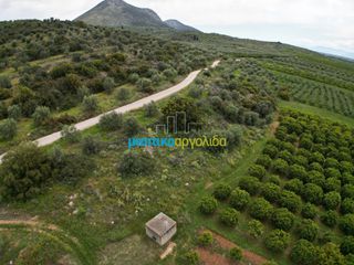 Αγροτεμάχια 11.600 τ.μ. για πώληση, Αργολίδα, Μυκήνες-thumb-16