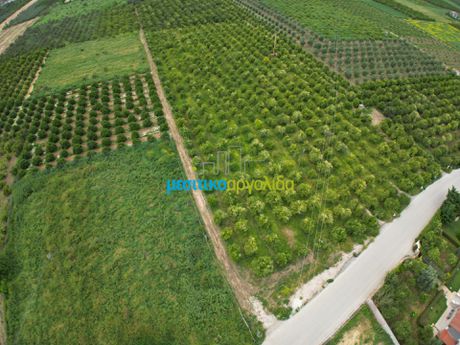 Land plot 19.125sqm for sale-Midea