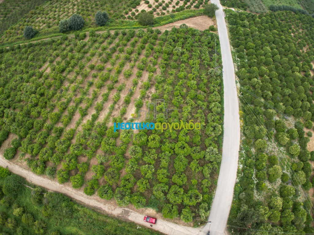 Αγροτεμάχια 14.120 τ.μ. για πώληση, Αργολίδα, Μιδέα