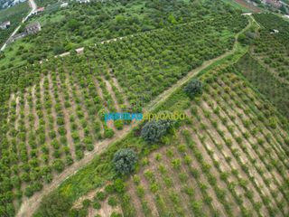Parcel 14.120 sqm for sale, Argolis, Midea-thumb-6