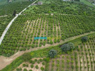 Parcel 14.120 sqm for sale, Argolis, Midea-thumb-5