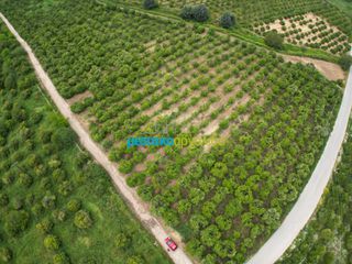 Parcel 14.120 sqm for sale, Argolis, Midea-thumb-1