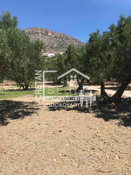 Land plot 4.934sqm for sale-Ierapetra » Koutsounari