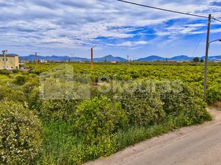 Οικόπεδο 475 τ.μ. για πώληση, Αργολίδα, Άργος-thumb-22