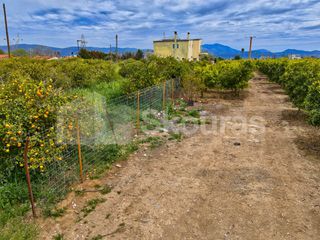 Οικόπεδο 475 τ.μ. για πώληση, Αργολίδα, Άργος-thumb-12