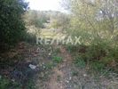 Parcel 10.383sqm for sale-Makrinitsa » Fitoko