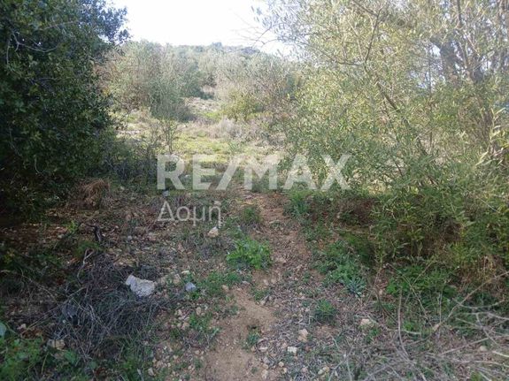Αγροτεμάχια 10.383 τ.μ. για πώληση, Μαγνησία, Μακρινίτσα