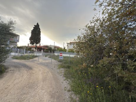 Οικόπεδο 190τ.μ. για πώληση-Βίλια » Κάτω αλεποχώρι