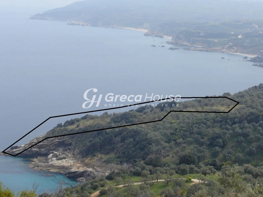 Οικόπεδο 13.000 τ.μ. πρός πώληση, Μαγνησία, Αφέτες
