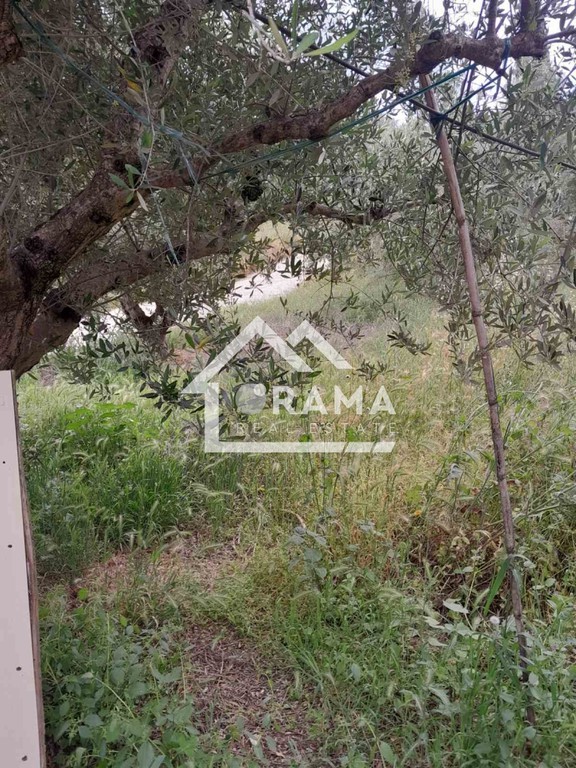 Οικόπεδο 1.804 τ.μ. πρός πώληση, Αχαΐα, Παραλία
