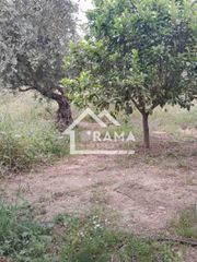 Οικόπεδο 1.804 τ.μ. πρός πώληση, Αχαΐα, Παραλία-thumb-9