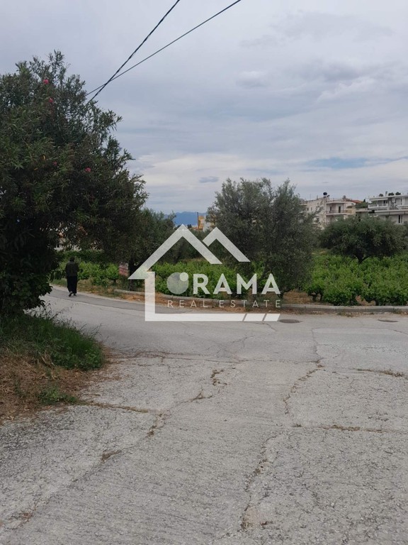 Οικόπεδο 1.804 τ.μ. πρός πώληση, Αχαΐα, Παραλία