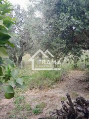 Οικόπεδο 1.804 τ.μ. πρός πώληση, Αχαΐα, Παραλία-thumb-6